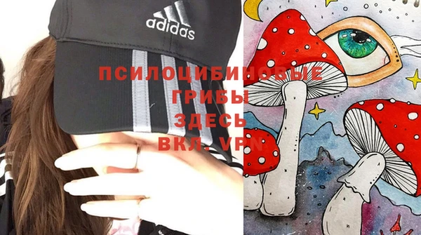 спиды Осташков