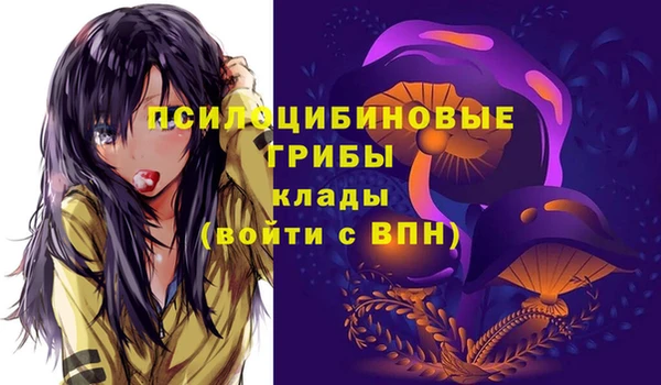 спиды Осинники