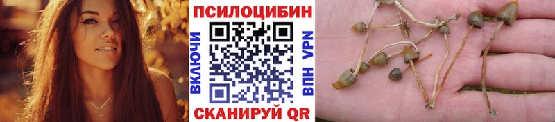 Галлюциногенные грибы GOLDEN TEACHER Тырныауз