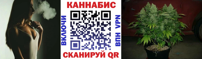 Конопля MAZAR  Тырныауз 